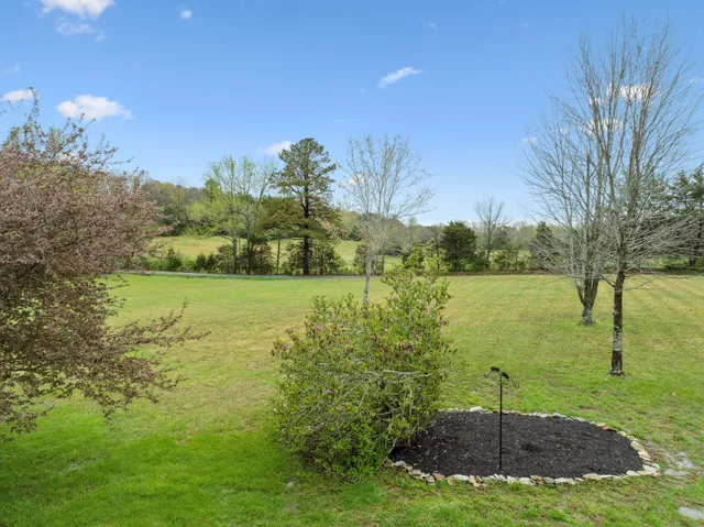a view of a garden with a lake view