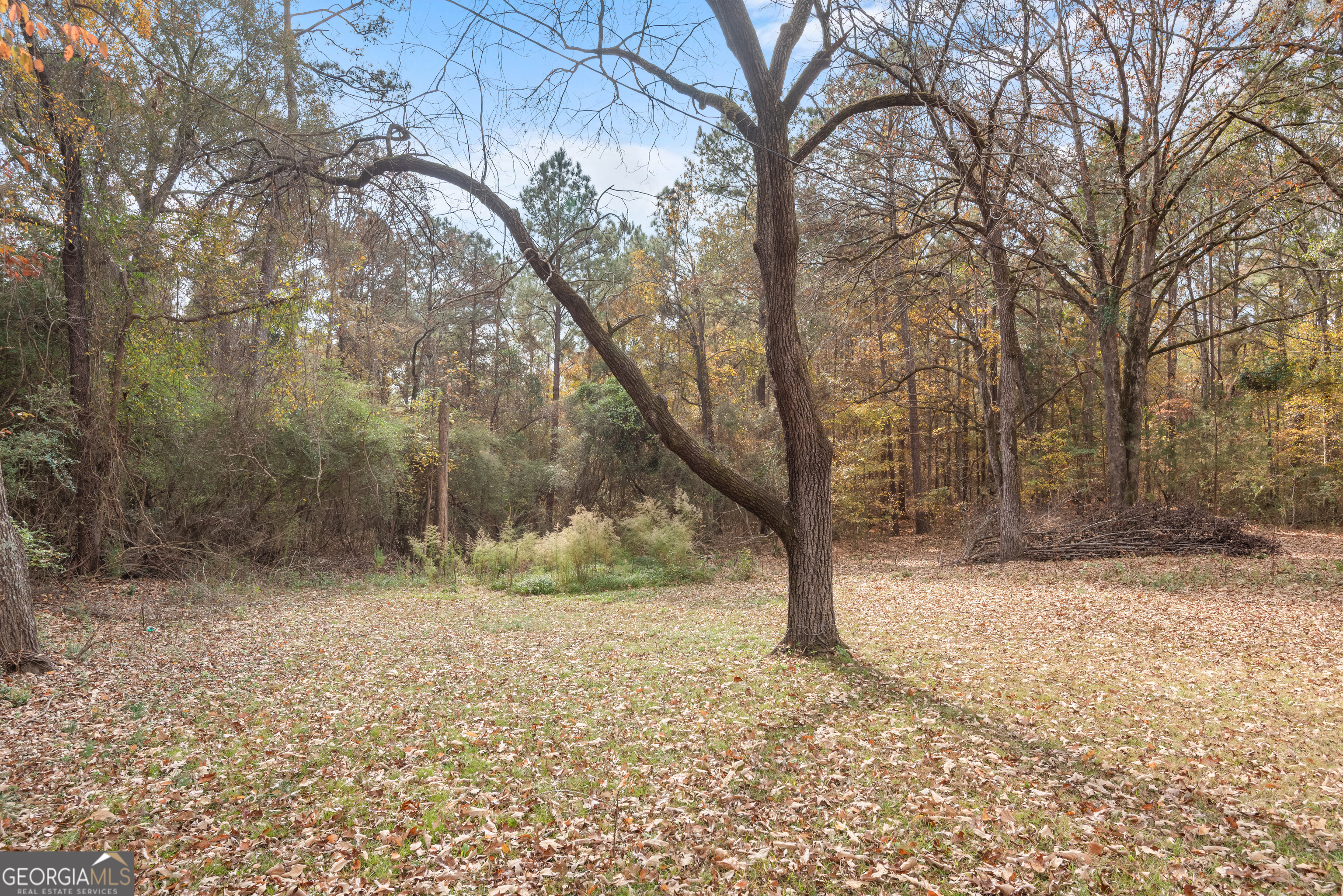1706 Stark Road Jackson, GA 30233 - Photo 37 of 38 a view of covered with snow in middle of forest