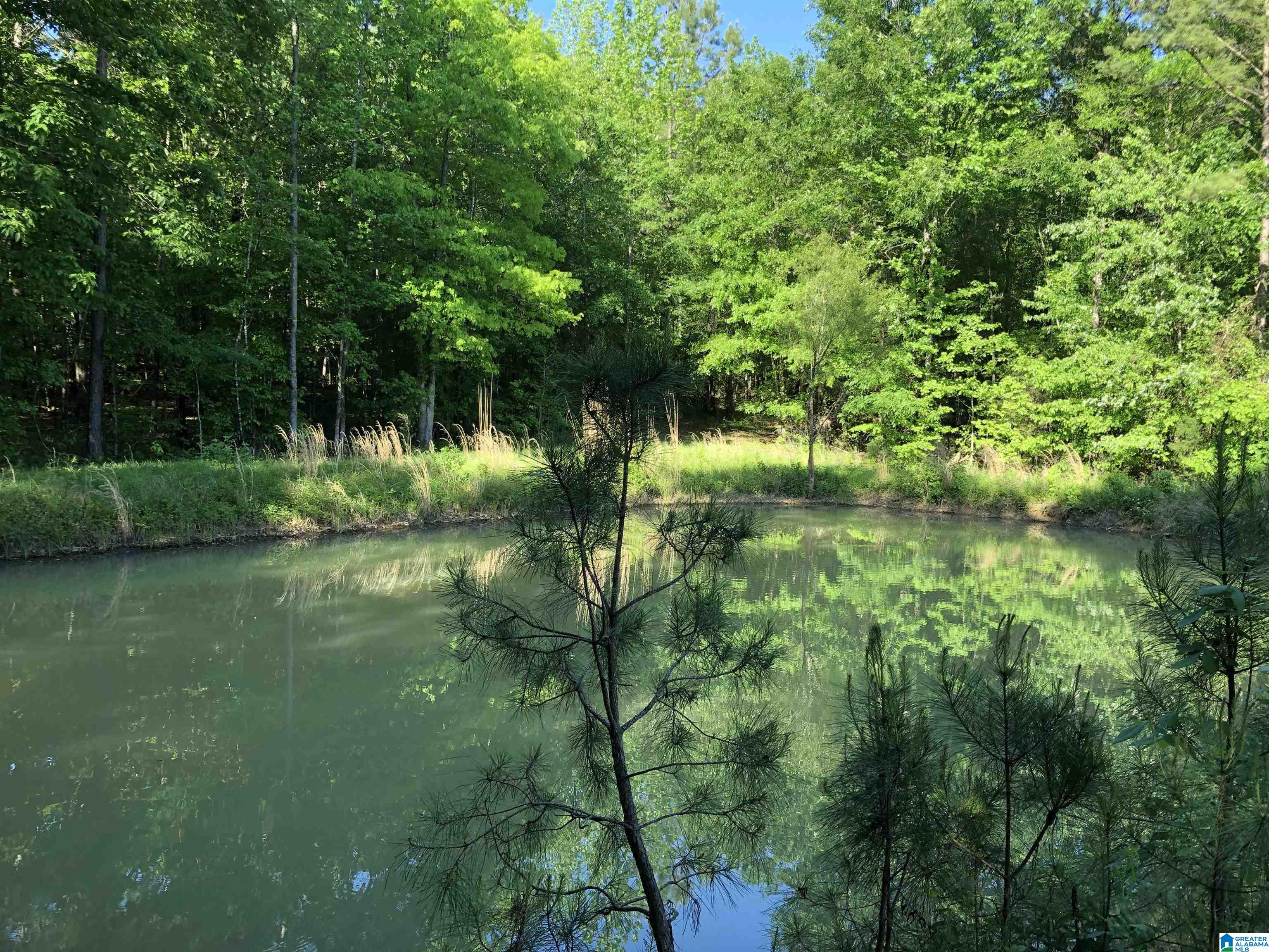 61 Copper Road Columbiana, AL 35051 - Photo 1 of 15