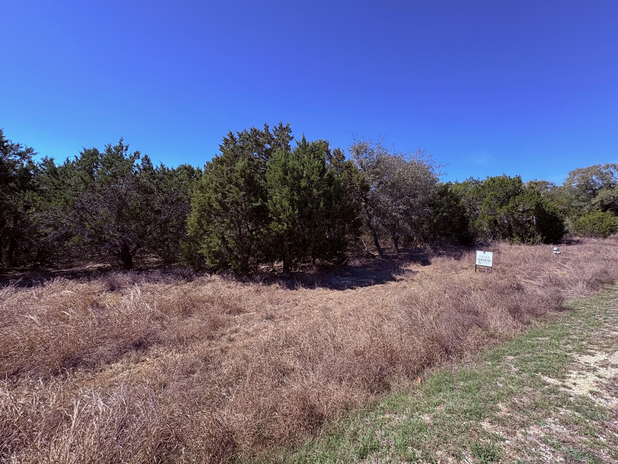 a view of a yard with a tree
