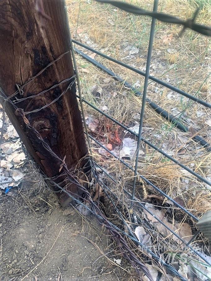 Tbd Schoolhouse Gulch Road Garden Valley, ID 83622 - Photo 7 of 14