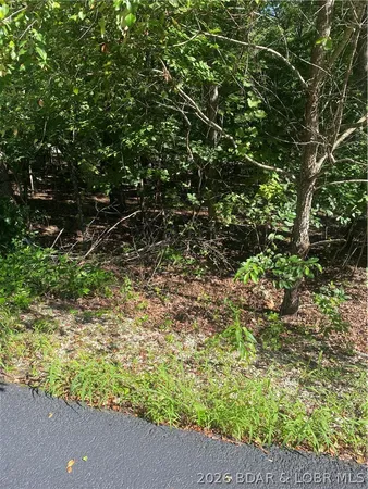 $14,750 | Lot 1275 Champions Run, Sunrise Beach, MO 65079