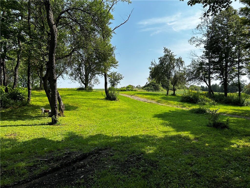 7688 Purdy Road Madison, NY 13402 - Photo 21 of 41