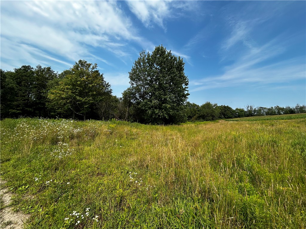 7688 Purdy Road Madison, NY 13402 - Photo 22 of 41