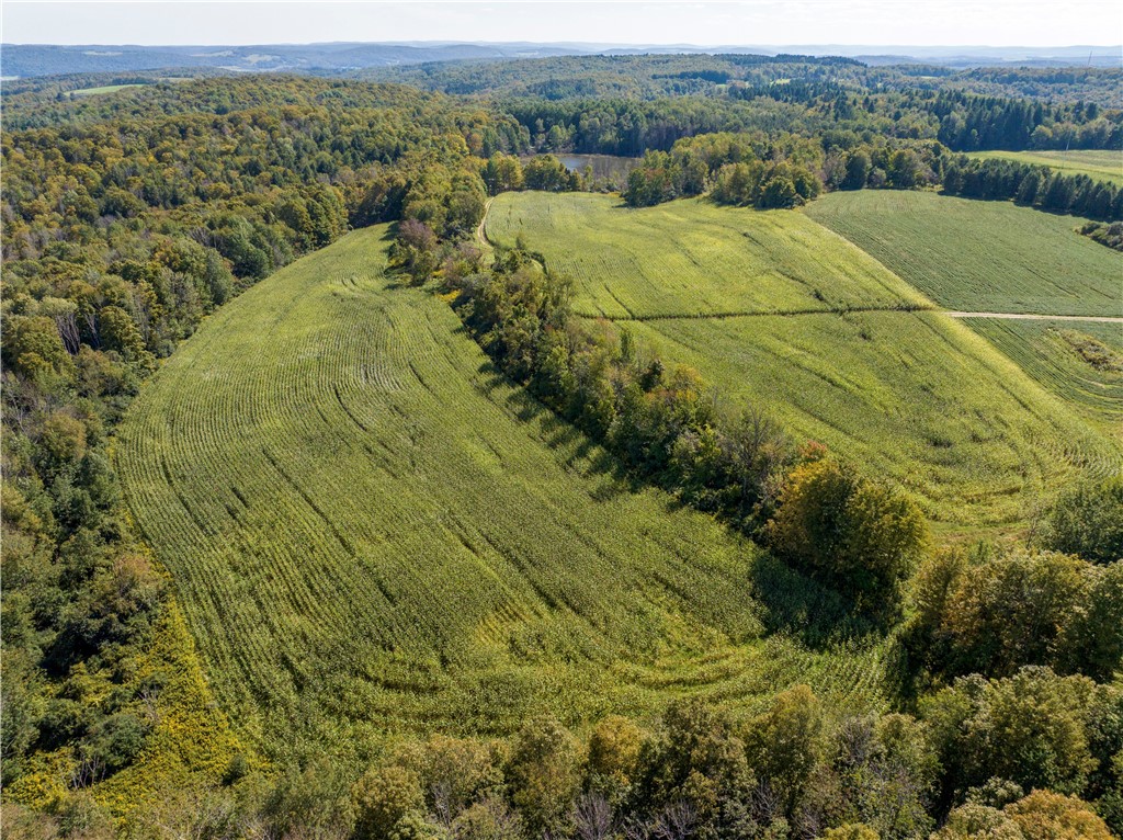 7688 Purdy Road Madison, NY 13402 - Photo 23 of 41