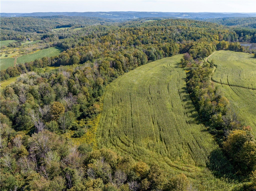 7688 Purdy Road Madison, NY 13402 - Photo 24 of 41