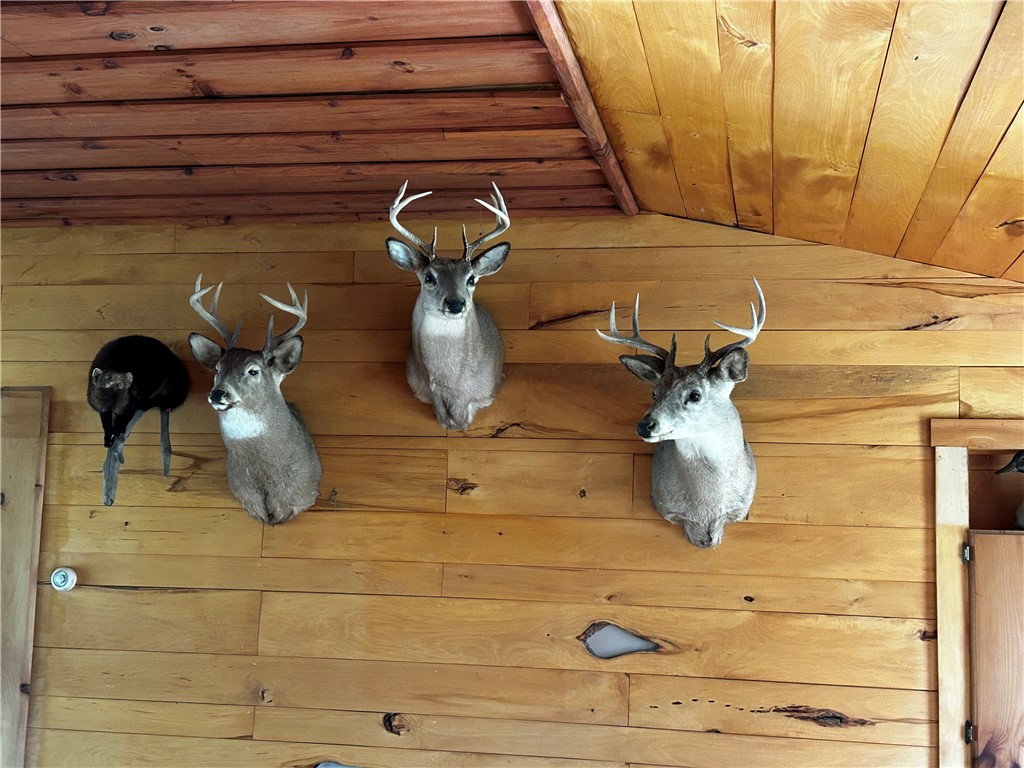 7688 Purdy Road Madison, NY 13402 - Photo 30 of 41