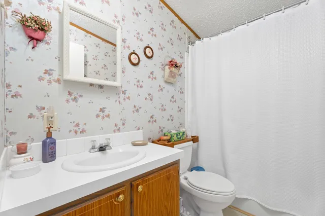 a bathroom with a sink mirror vanity and toilet