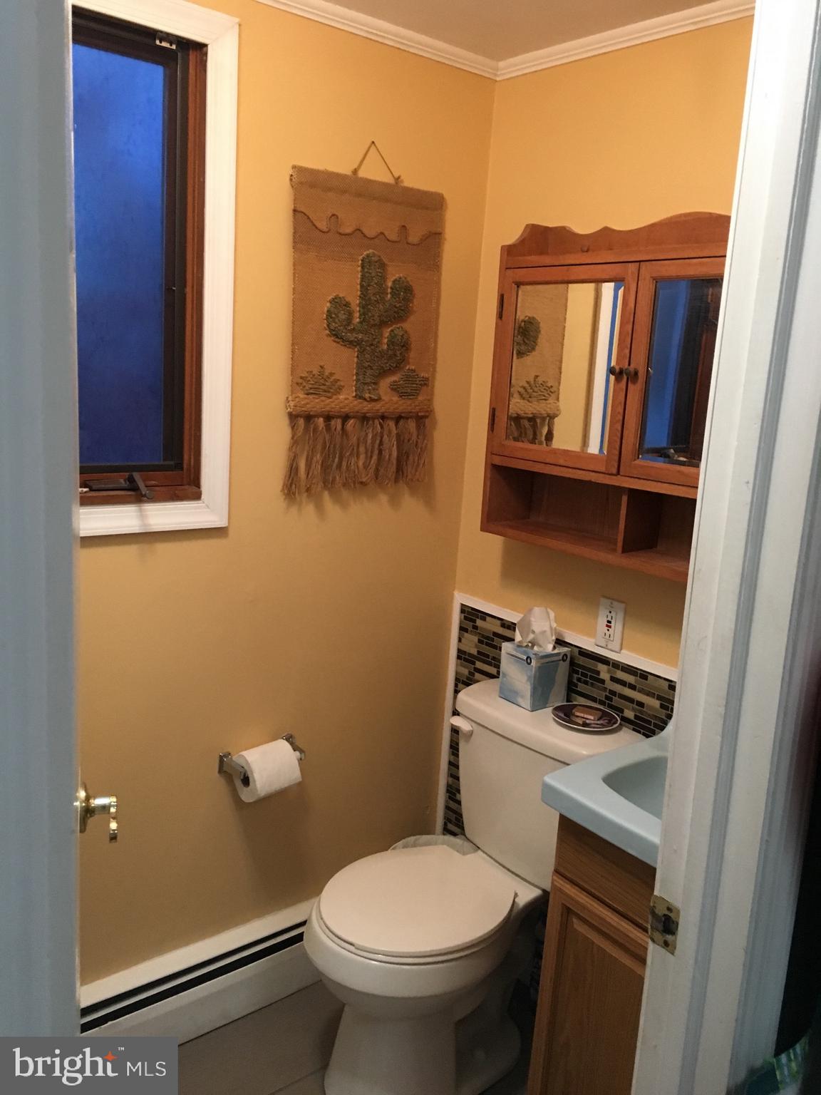 114 Sylvan Avenue Rutledge, PA 19070 - Photo 12 of 26 1st Floor Bath w/ large shower stall