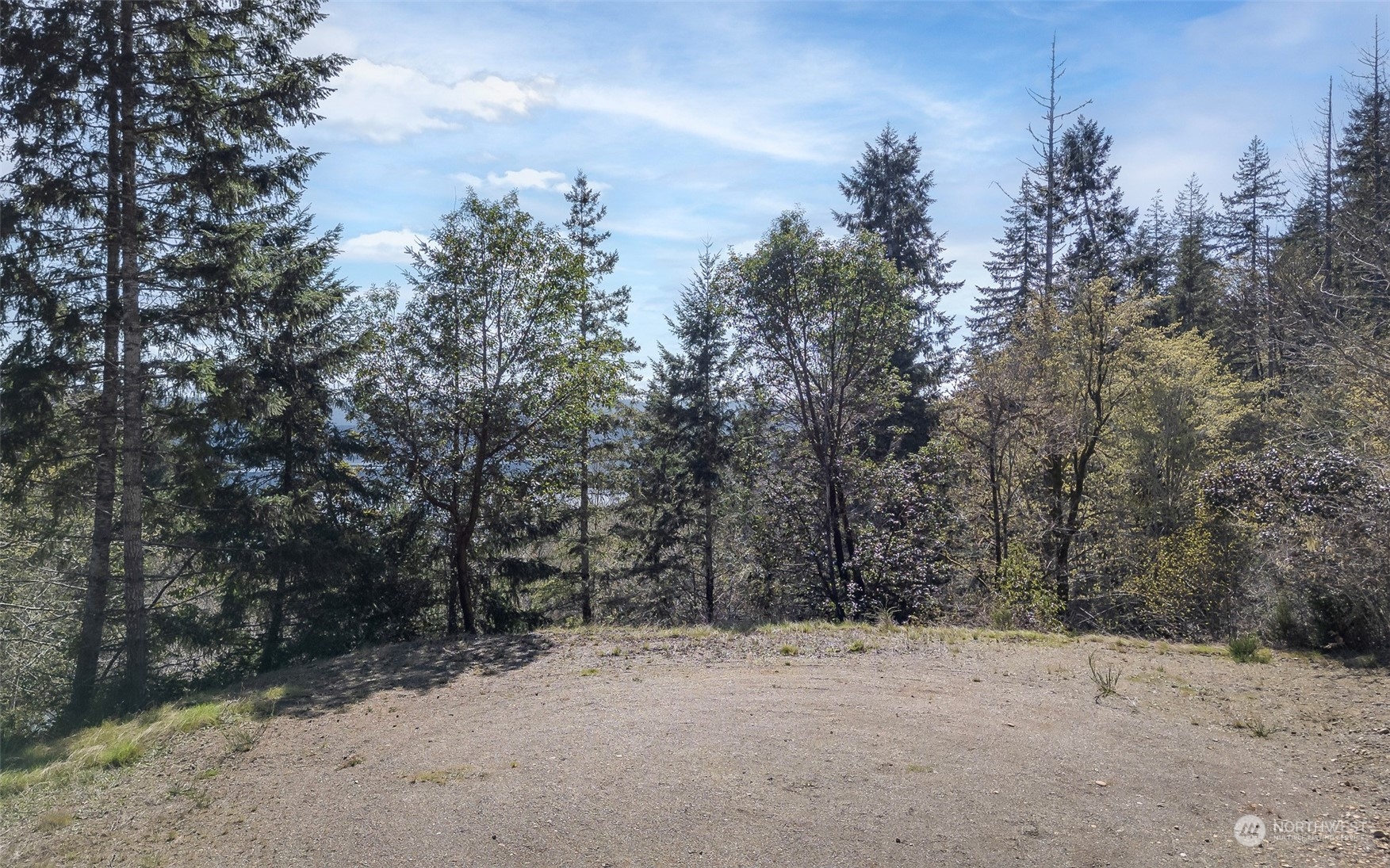 7366 Northeast North Shore Road Belfair, WA 98528 - Photo 23 of 39 Gallery Image 23