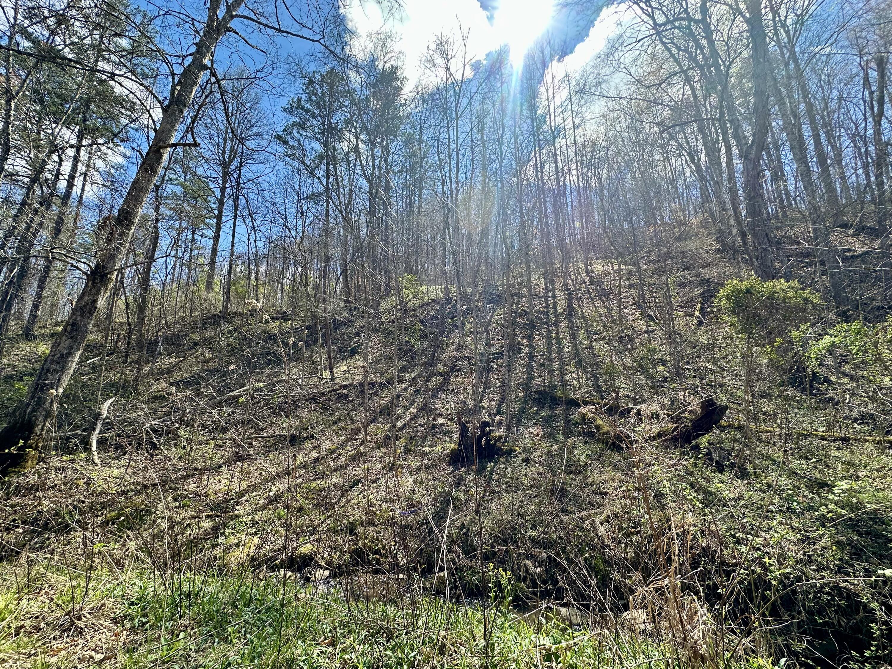 Tract #2 Tract Ridge Annville, KY 40402 - Photo 5 of 15 IMG_0927
