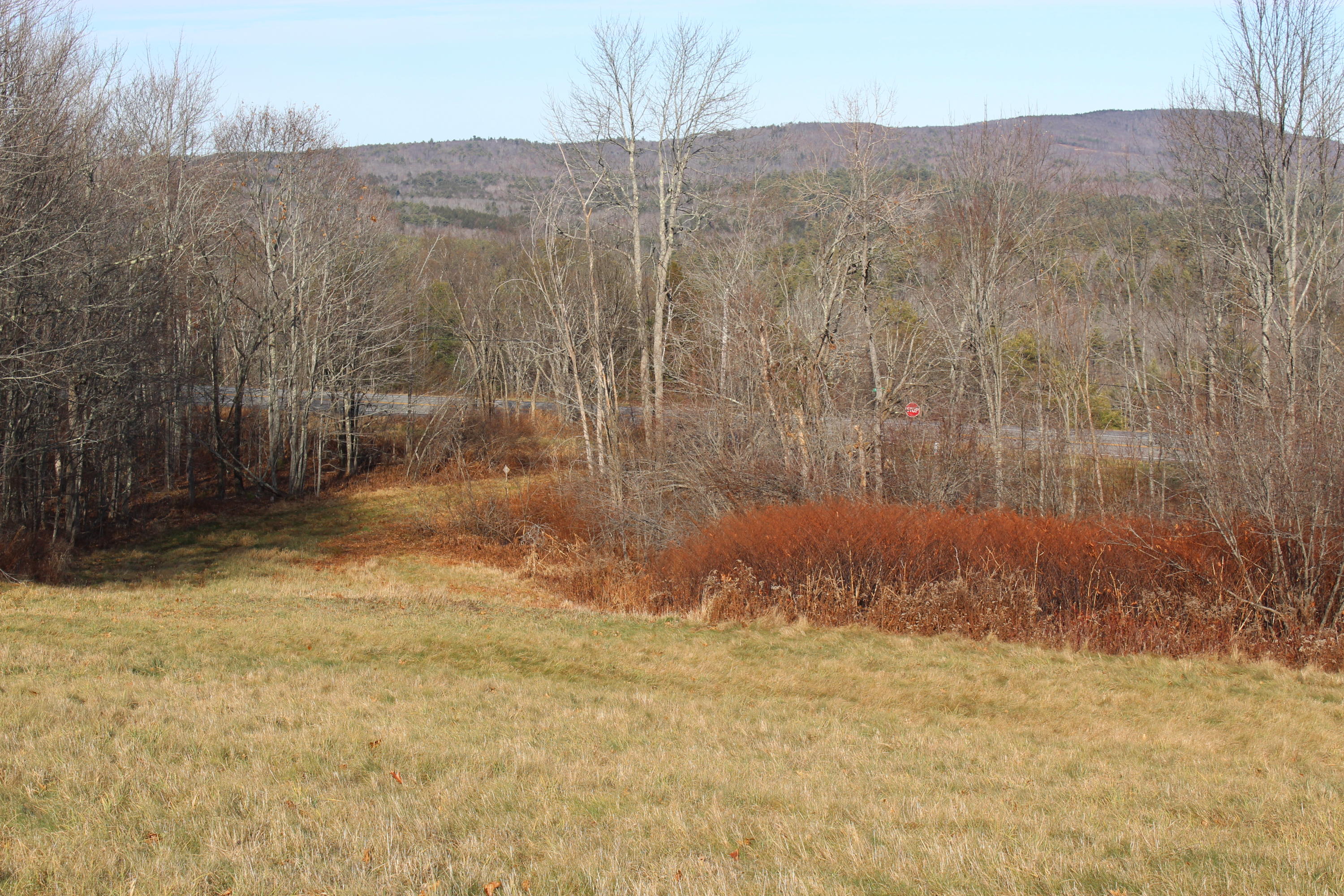 0 Thompson Road Montville, ME 04941 - Photo 8 of 8 IMG_0784