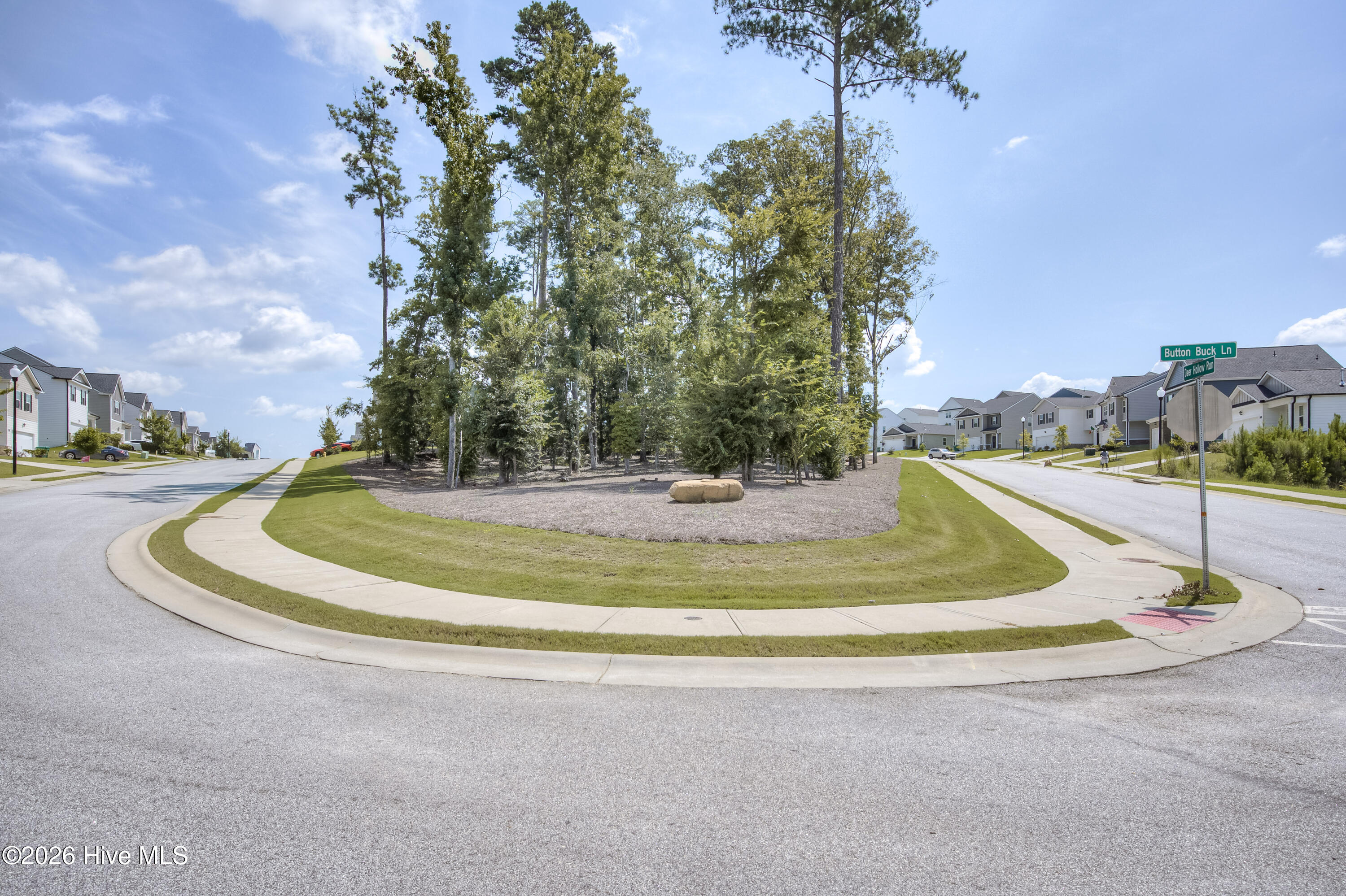 1136 Button Buck Lane Grovetown, GA 30813 - Photo 16 of 17 Across the street is a beautiful wooded area so you are not staring at a neighbor's house head-on.