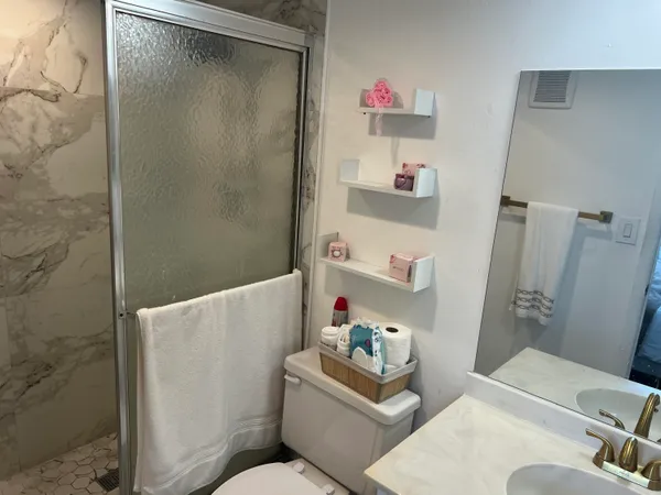 a bathroom with a sink and a toilet