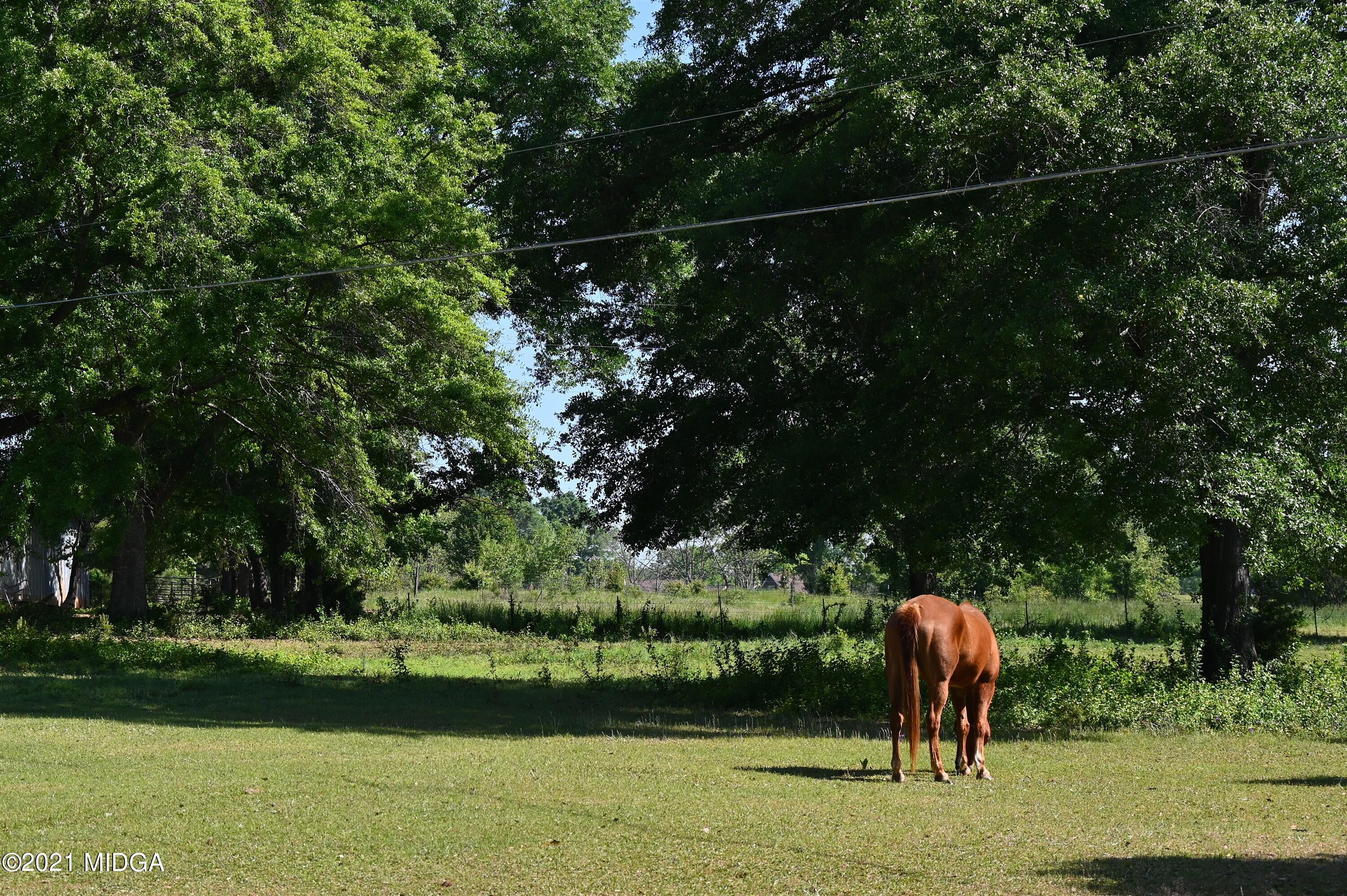 10333 Estes Road Macon, GA 31210 - Photo 25 of 29 a view of a yard