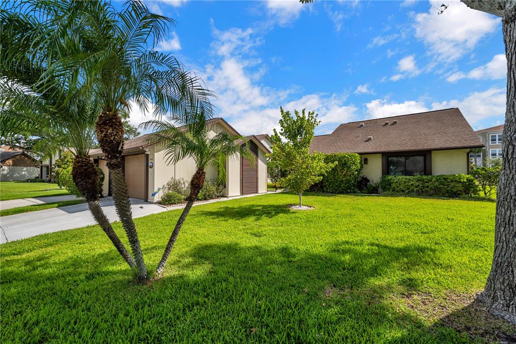 2242 Sequoia Drive Clearwater, FL 33763 - Photo 1 of 1 Street View