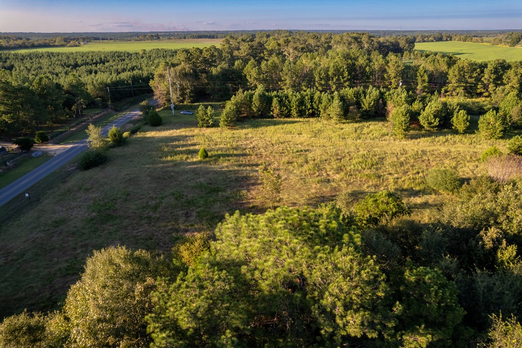 2226 Randall Wade Road Headland, AL 36345 - Photo 14 of 60