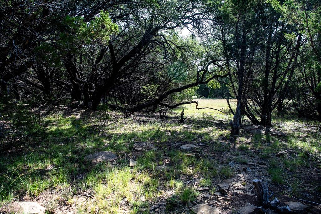 235 Big Bear Loop Strawn, TX 76475 - Photo 19 of 40 a view of swimming pool and trees