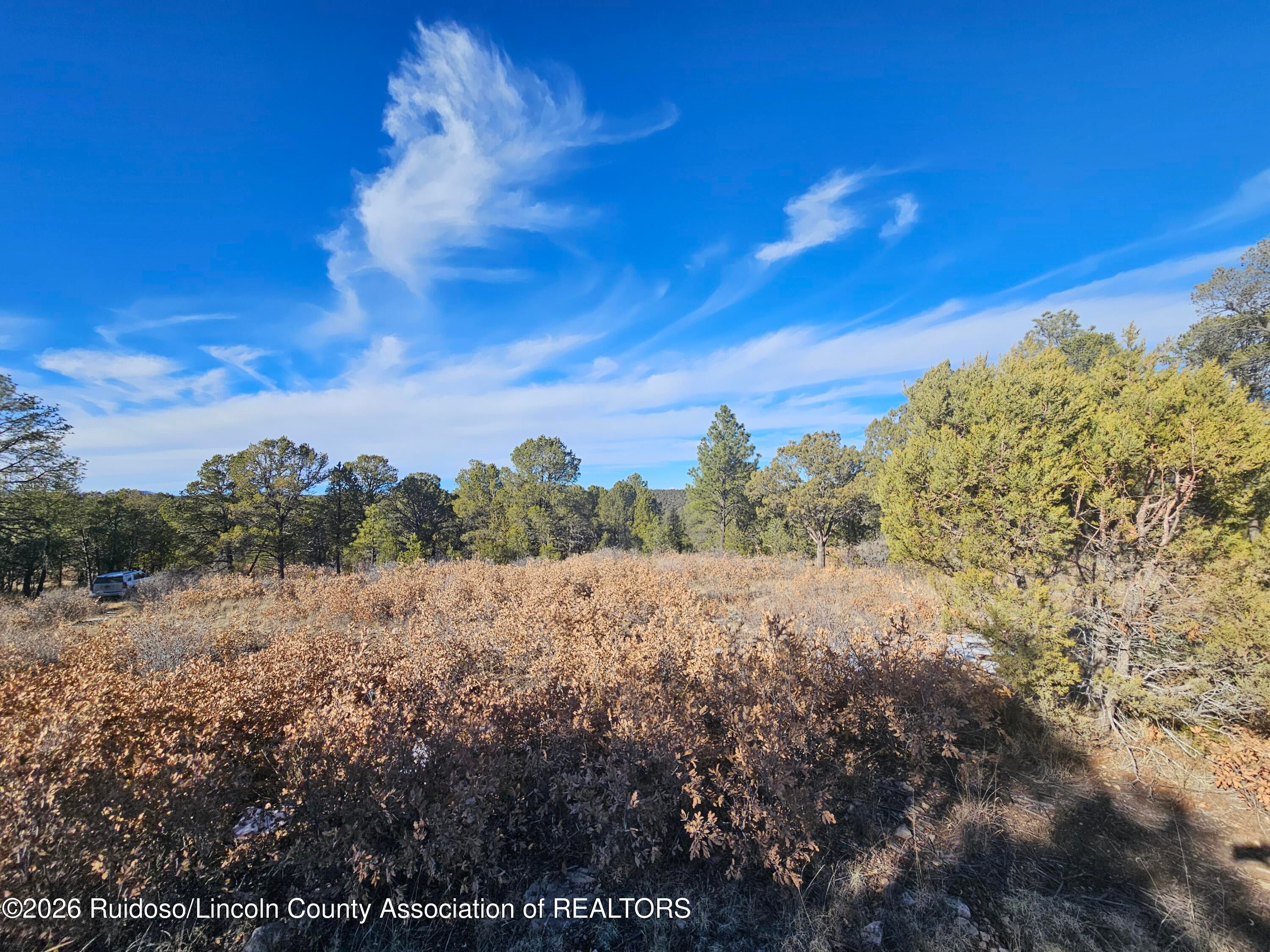 10s Range 14e Sec 33 Ruidoso, NM 88345 - Photo 3 of 10 Gallery Image 3