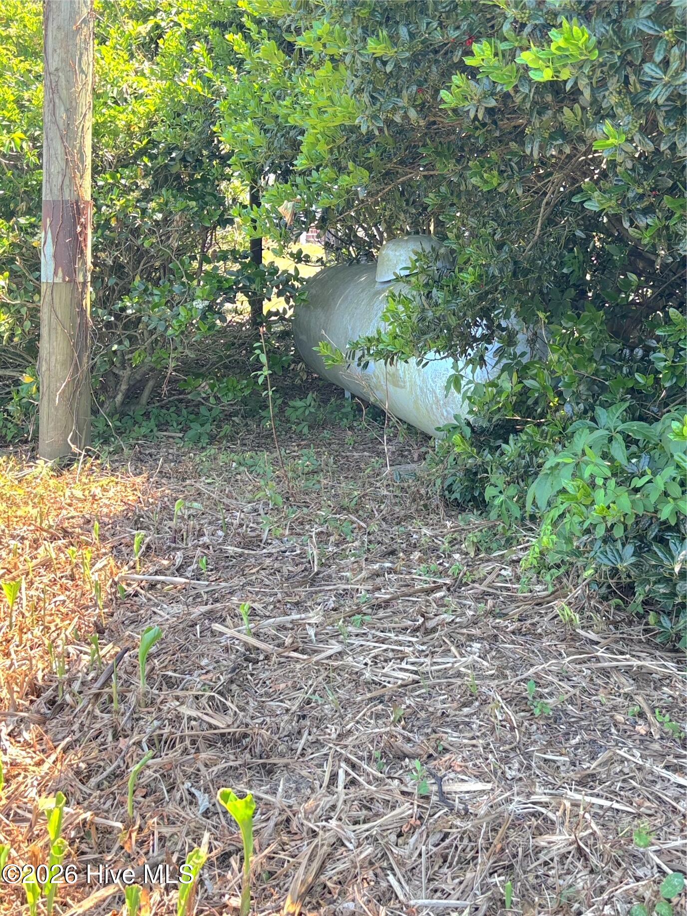 1494 Jackson Swamp Road Bath, NC 27808 - Photo 47 of 71 Propane Tank