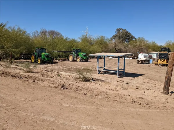 a view of a dirt area with a large tree