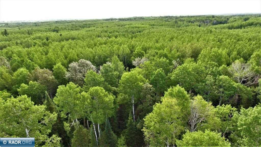 3164 Rangeline Rd Road Orr, MN 55771 - Photo 7 of 14