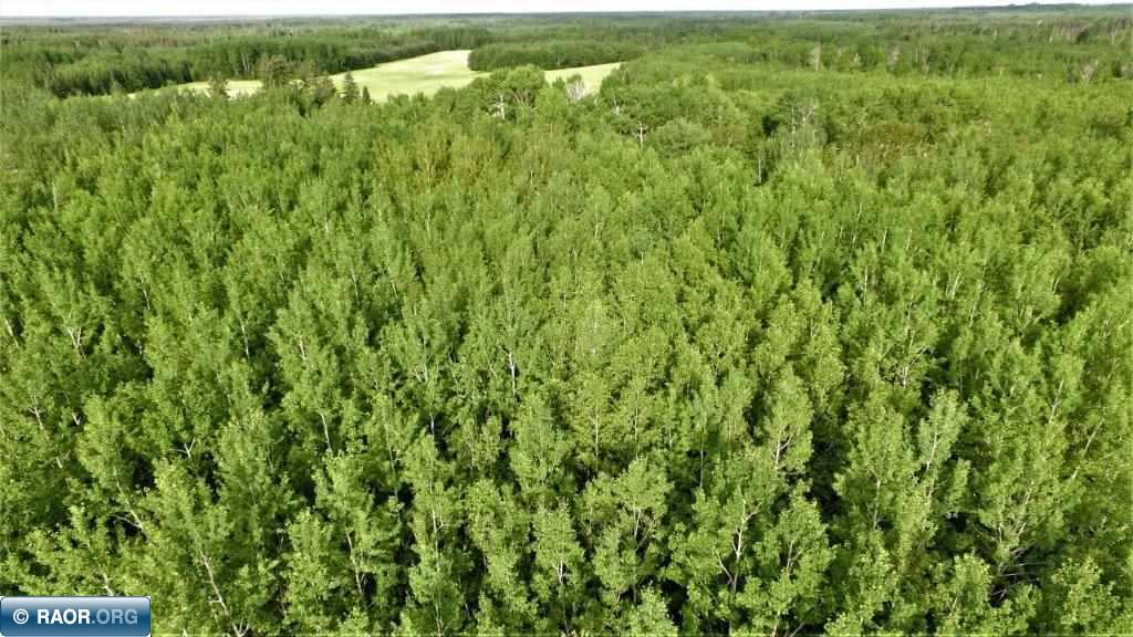 3164 Rangeline Rd Road Orr, MN 55771 - Photo 8 of 14