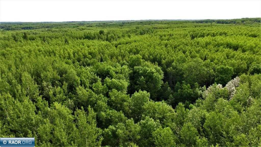 3164 Rangeline Rd Road Orr, MN 55771 - Photo 9 of 14