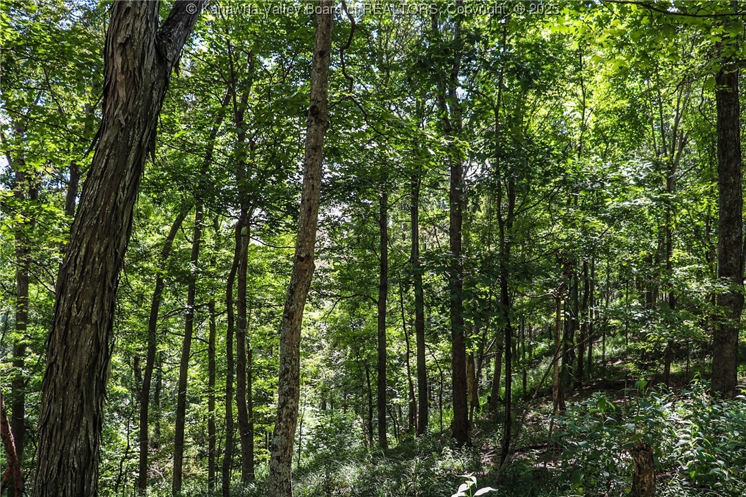411 Foxtrot Road Looneyville, WV 25259 - Photo 45 of 48 Gallery Image 45