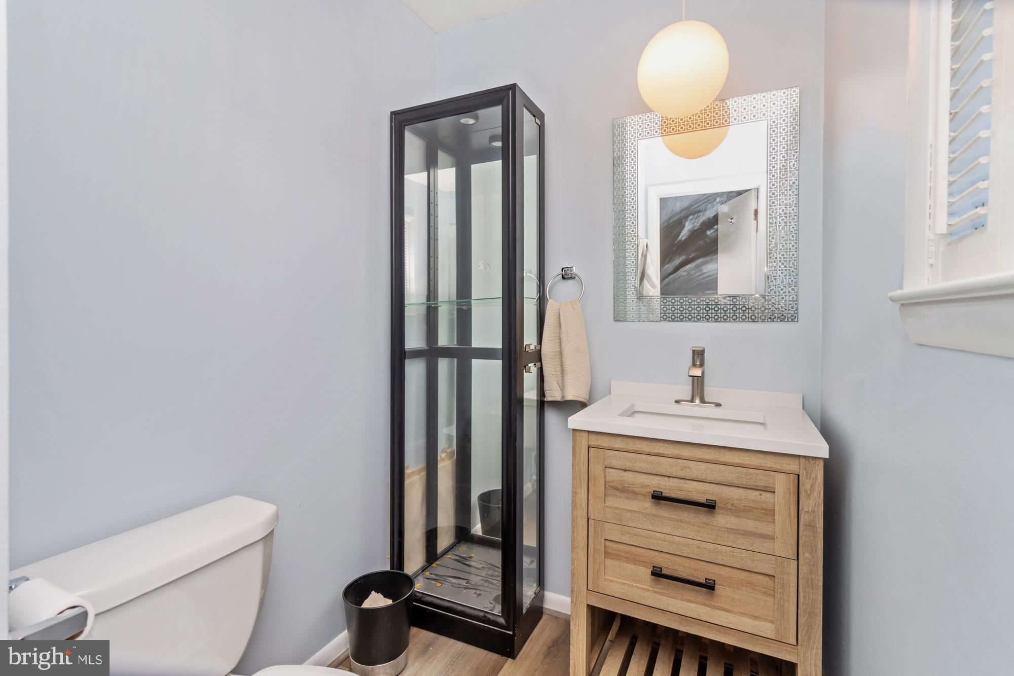 3622 Claires Lane Baltimore, MD 21220 - Photo 32 of 43 a bathroom with a toilet a sink and mirror