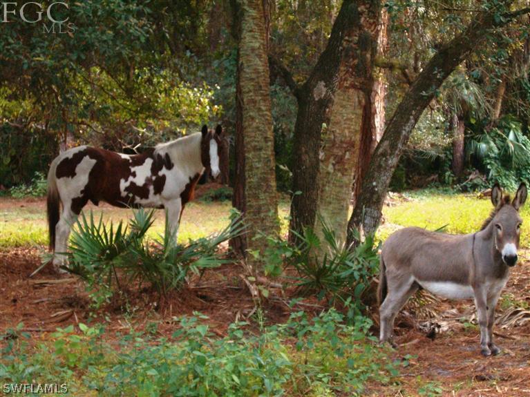 17520 Oak Creek Road Alva, FL 33920 - Photo 25 of 25 Gallery Image 25