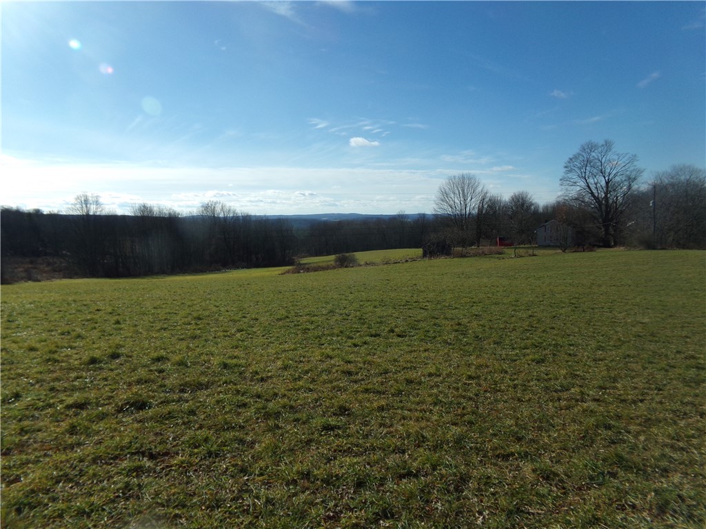 722 Old Virginia Road Oxford, NY 13830 - Photo 9 of 26