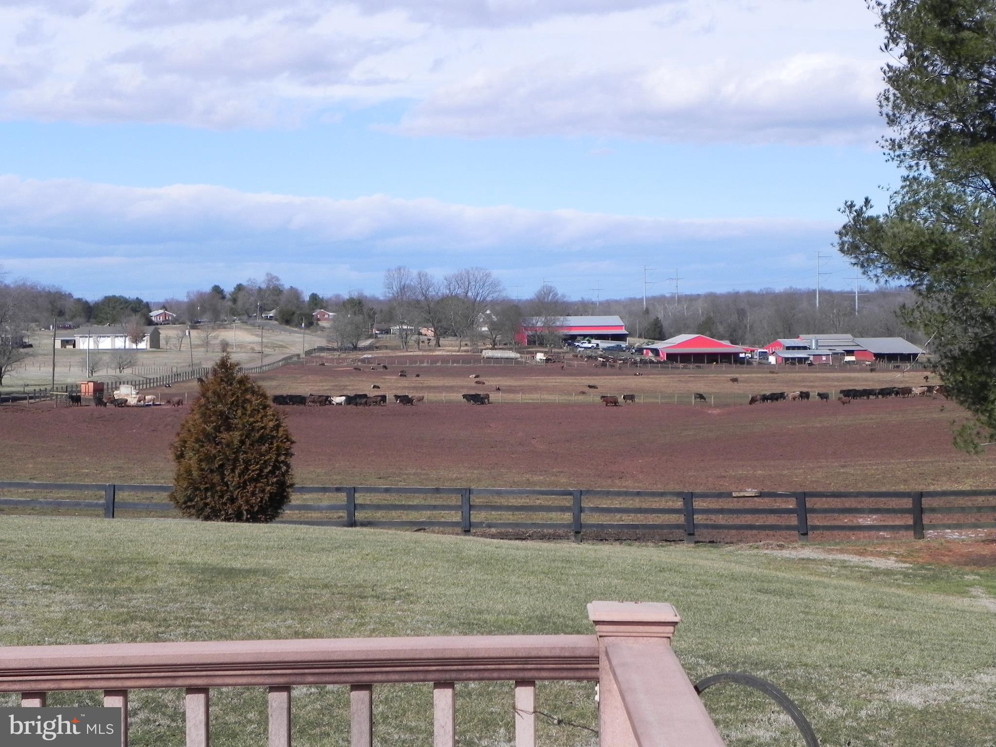 11869 Cemetery Road Remington, VA 22734 - Photo 19 of 19 VIEW OF FARMLAND