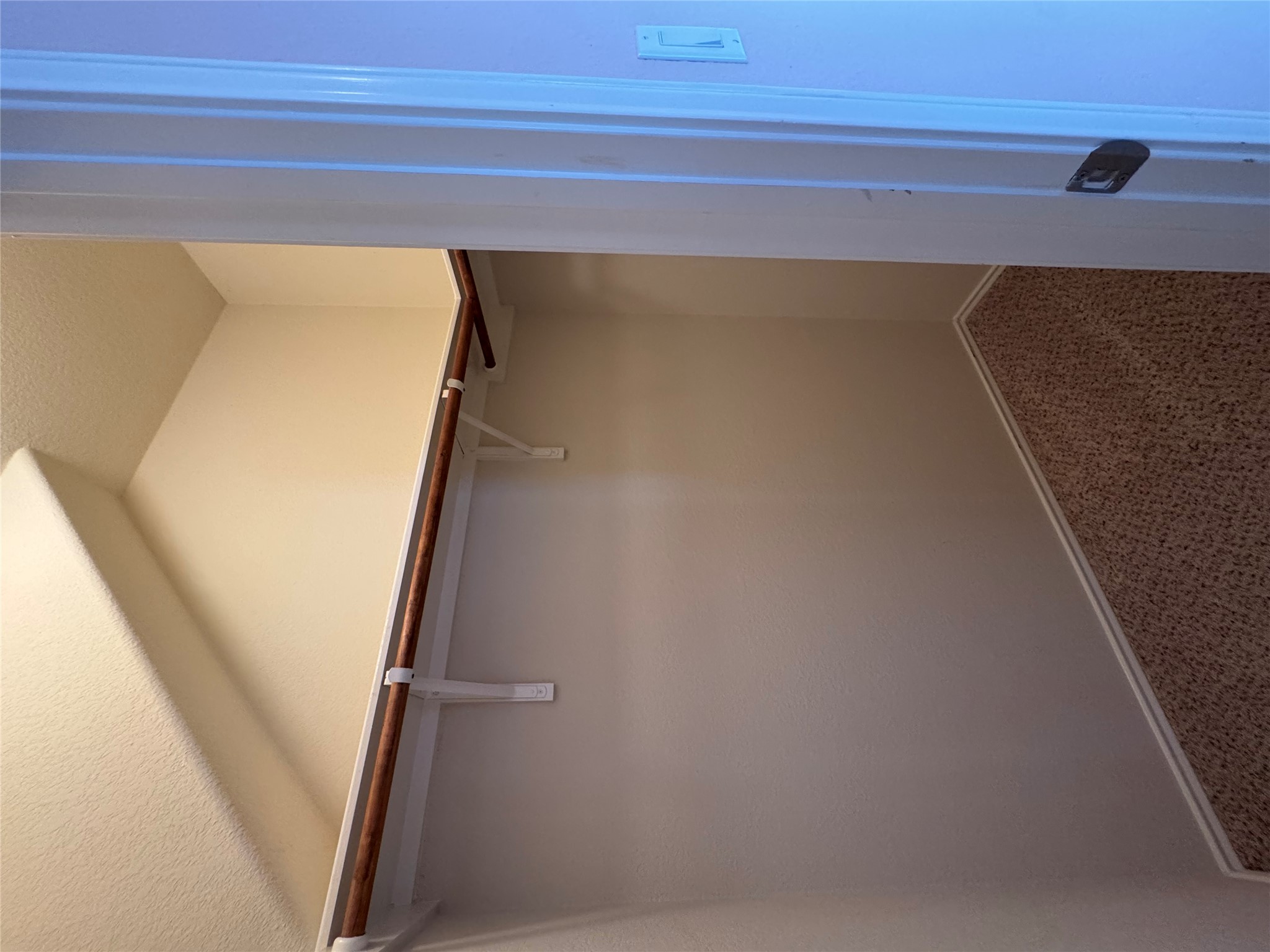 112 Eagle Owl Loop Leander, TX 78641 - Photo 21 of 34 Walk-in closet with carpet flooring, a single wood-finish clothes rod, and an upper storage shelf