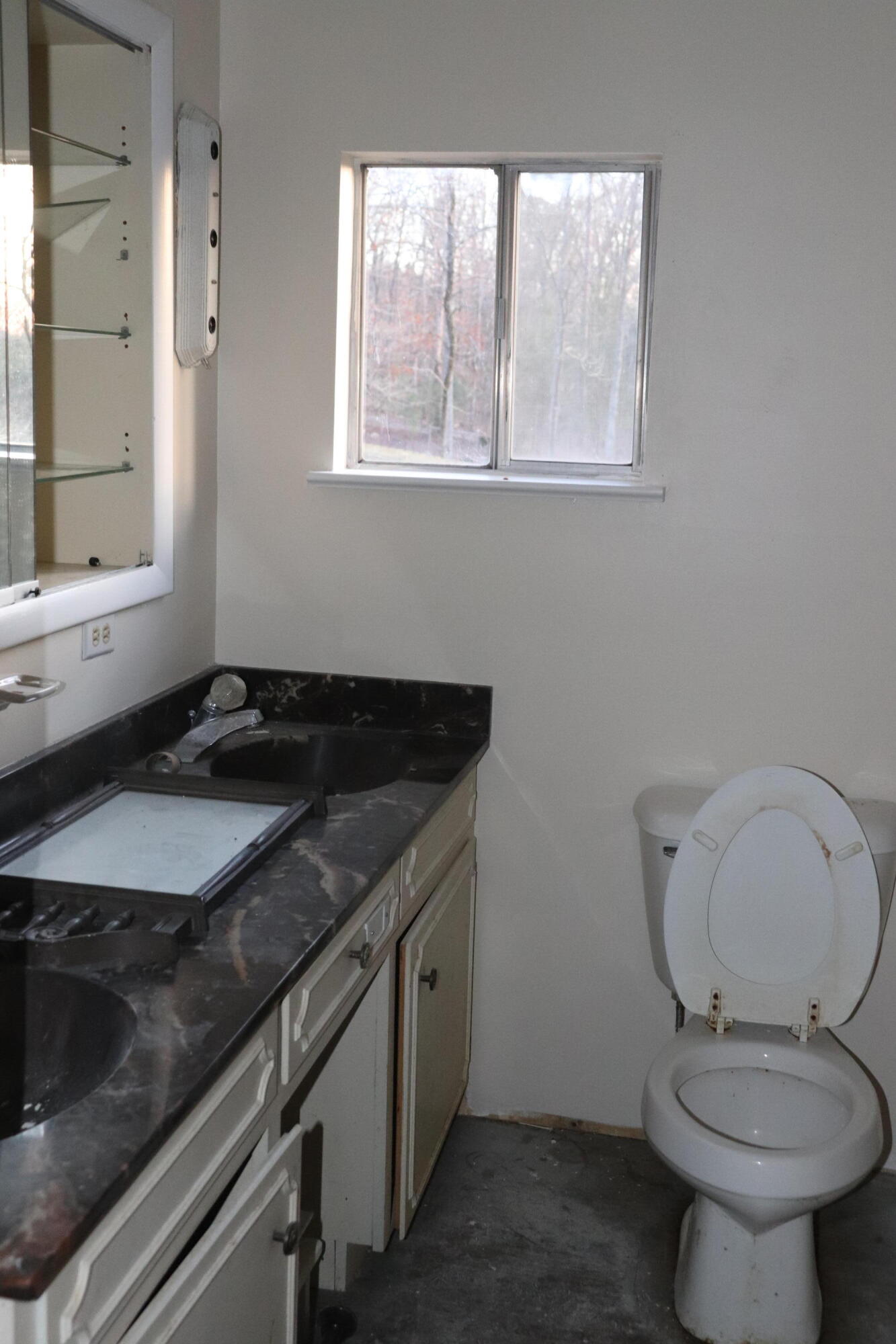 4600 Alabama Road Apison, TN 37302 - Photo 23 of 25 IMG_5181