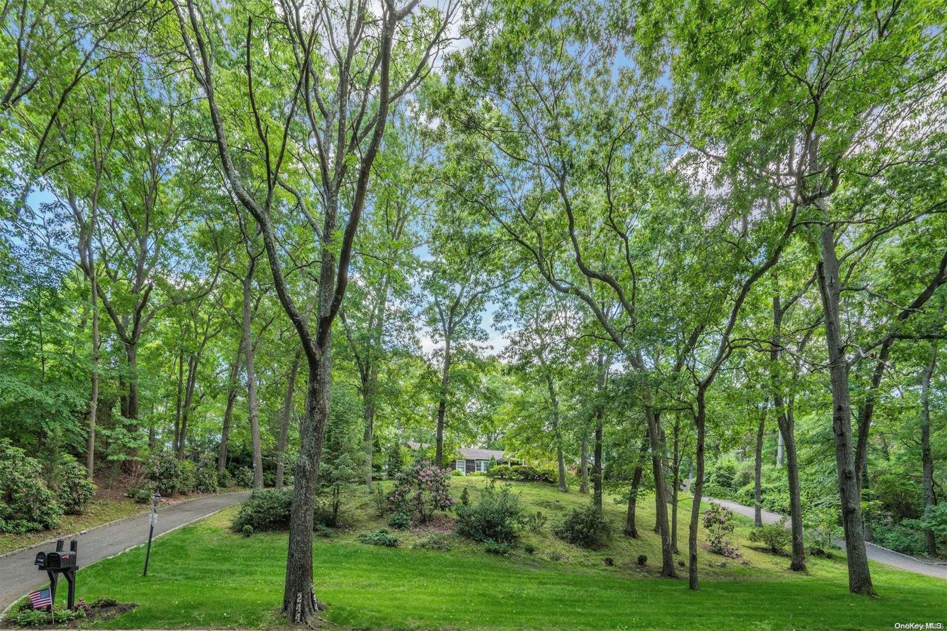 244 Daly Road East Northport, NY 11731 - Photo 1 of 1 a view of a park with large trees