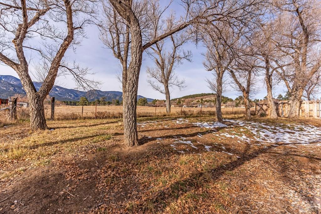 5877 Boulder Avenue Rye, CO 81069 - Photo 27 of 42