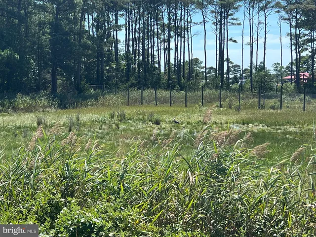 a view of a balcony with wooden floor and outdoor seating