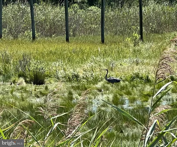 a view of swimming pool with a table and chairs