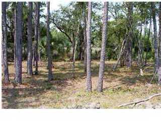 1613 Sewee Fort Road Mount Pleasant, SC 29466 - Photo 2 of 4 Additional Photo