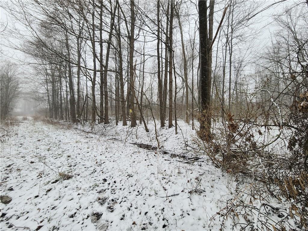 0 Irish Ridge Road Stoneboro, PA 16153 - Photo 8 of 12