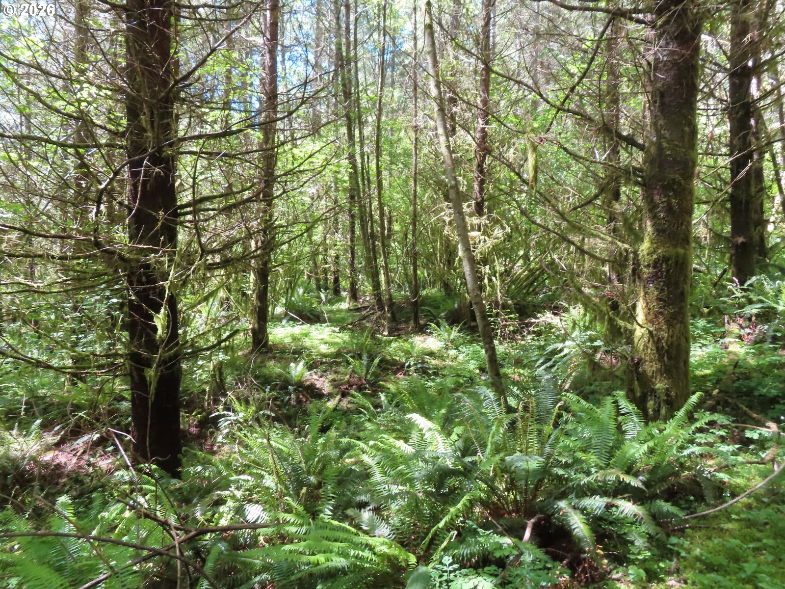 Hockett Road Onalaska, WA 98570 - Photo 22 of 29