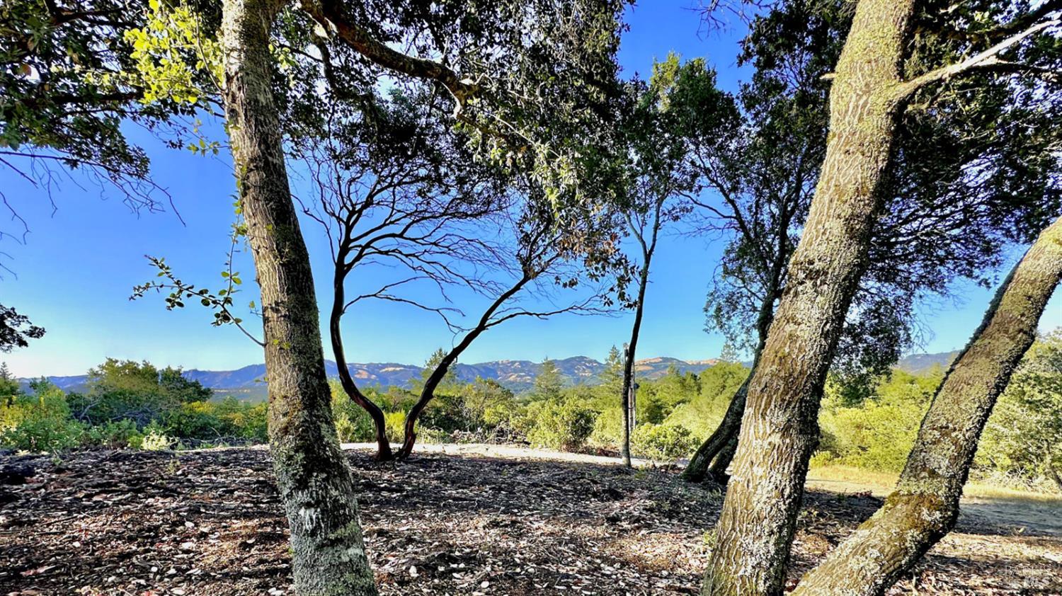 3 Enterprise Road Glen Ellen, CA 95442 - Photo 8 of 26