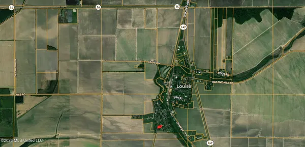 $30,000 | 0 Bass Road, Louise, MS 39097