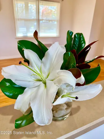 $818,888 | 441 Purdy Avenue | South New York