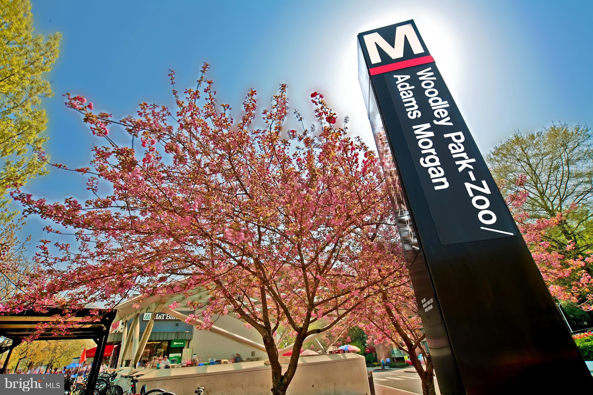 1954 Calvert Street Northwest Washington, DC 20009 - Photo 26 of 30 Woodley Park/Red Line Metro is Within 2 Blocks