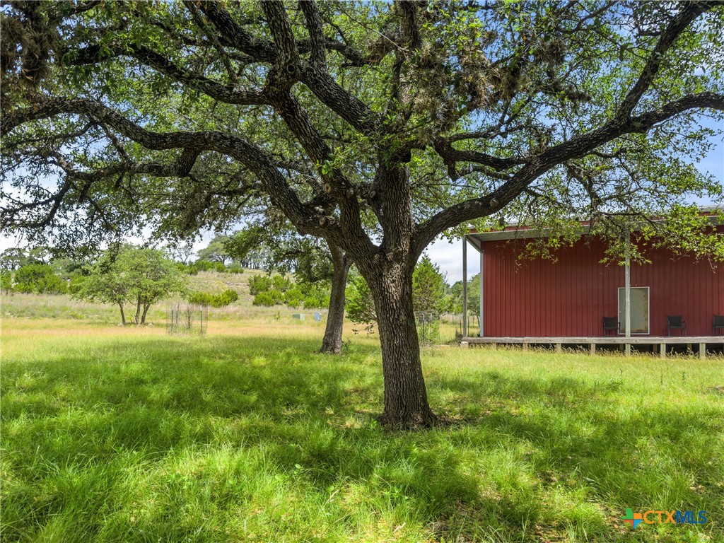 428 Summit Spring Lane Johnson City, TX 78636 - Photo 13 of 33