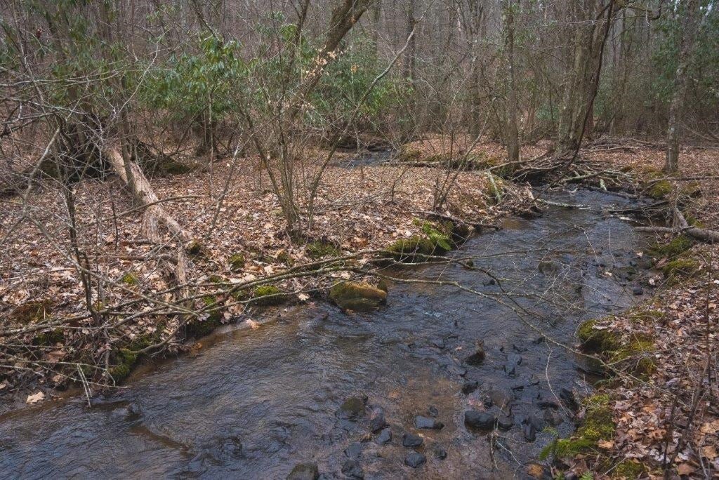 Tbd Long Mountain Road Southwest Willis, VA 24380 - Photo 43 of 66 Gallery Image 43