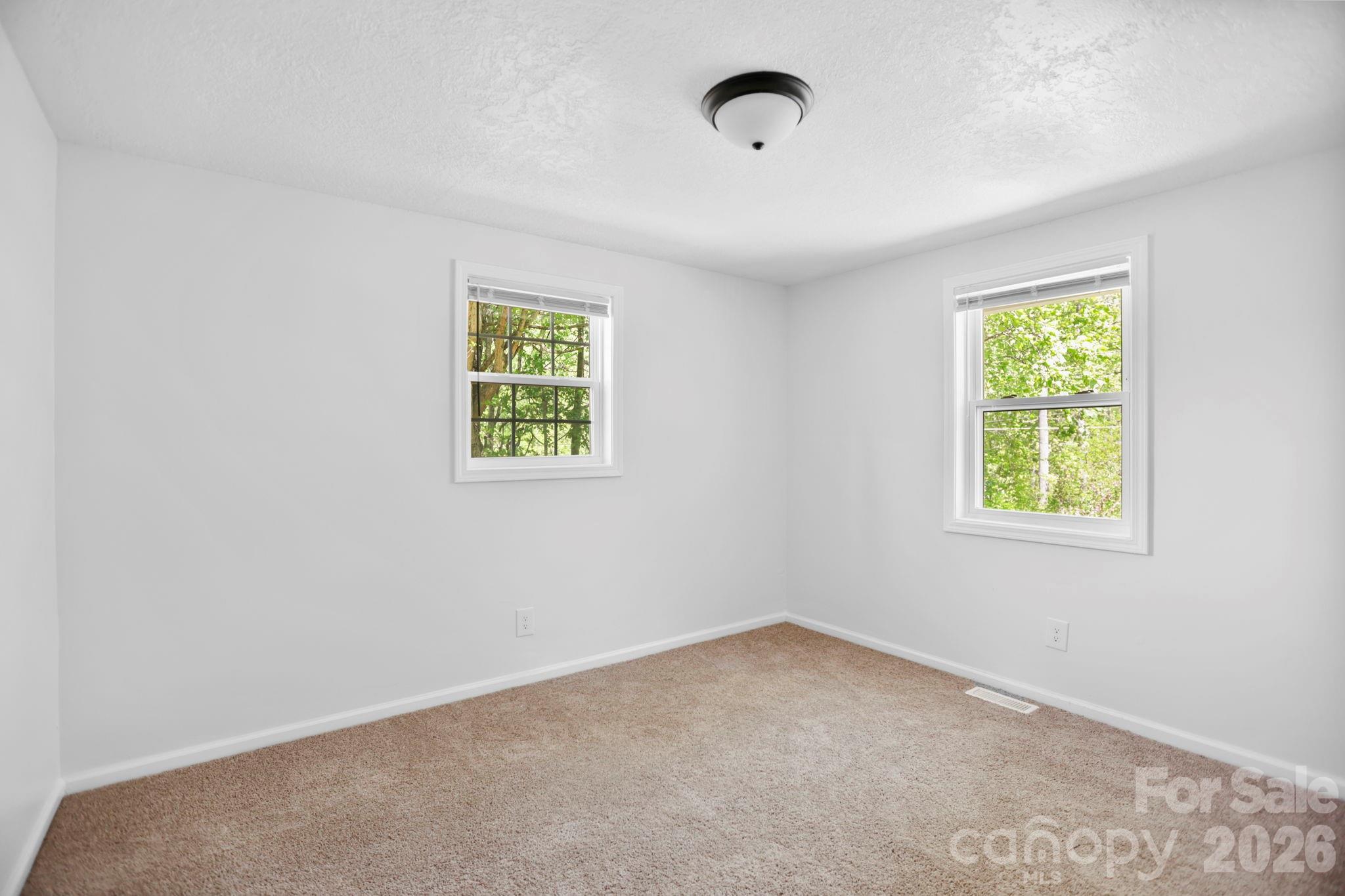 1007 North Fork Road Barnardsville, NC 28709 - Photo 17 of 24