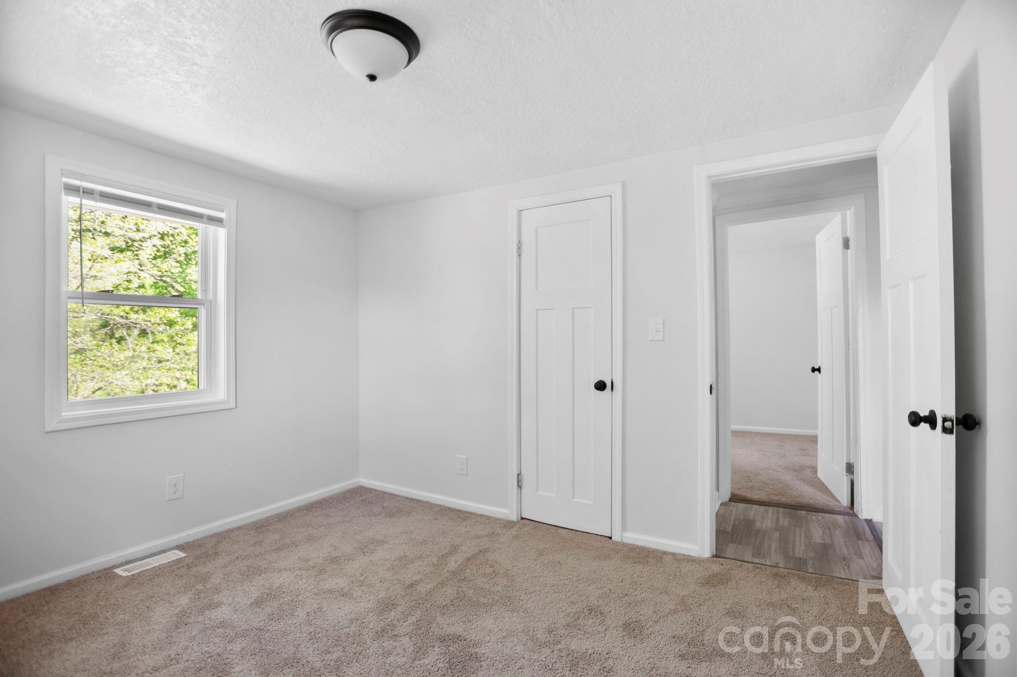 1007 North Fork Road Barnardsville, NC 28709 - Photo 19 of 24